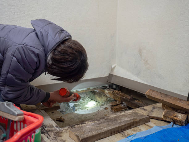 Best Industrial Mold Remediation  in Gilcrest, CO