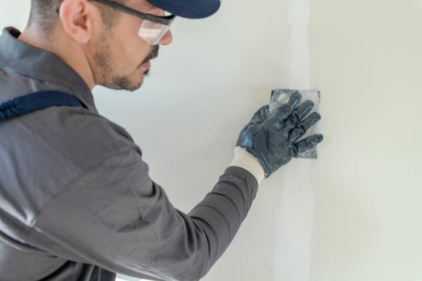 Mold Documentation for Insurance Claims in Gilcrest, CO