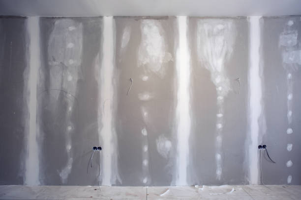 Best Mold-Related Health Consultation  in Gilcrest, CO