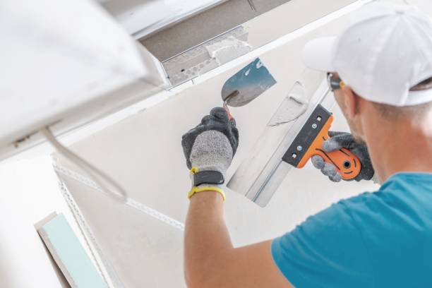 Best Crawl Space Mold Remediation  in Gilcrest, CO